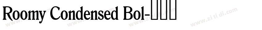 Roomy Condensed Bol字体转换